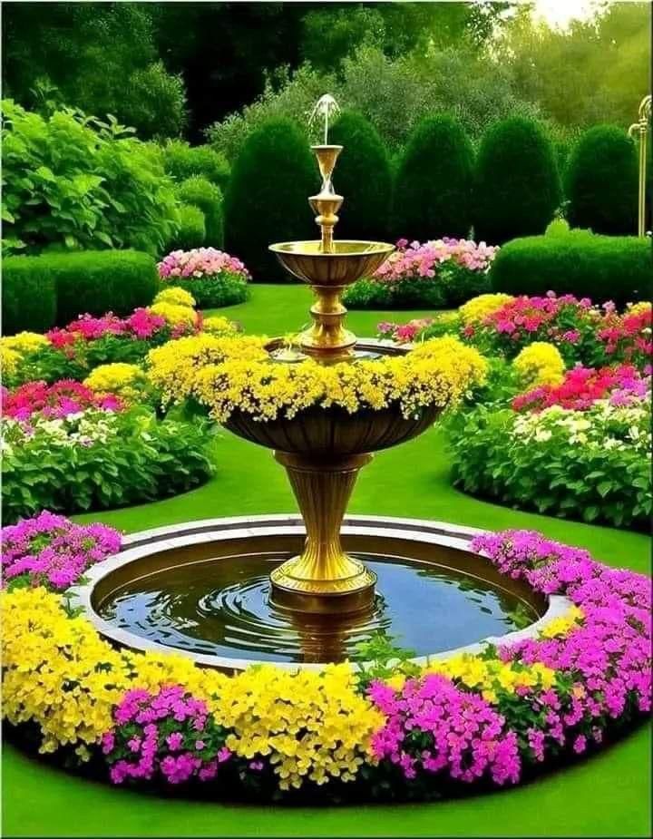 Elegant Climbing 🌹 Flower Seeds 🌹