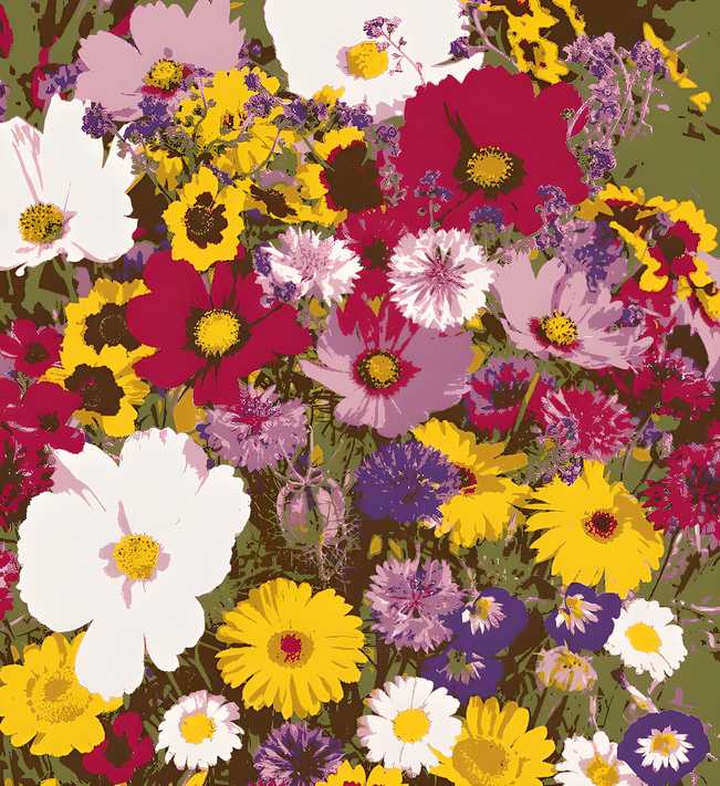 Elegant Climbing 🌹 Flower Seeds 🌹