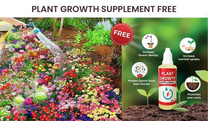 Elegant Climbing 🌹 Flower Seeds 🌹